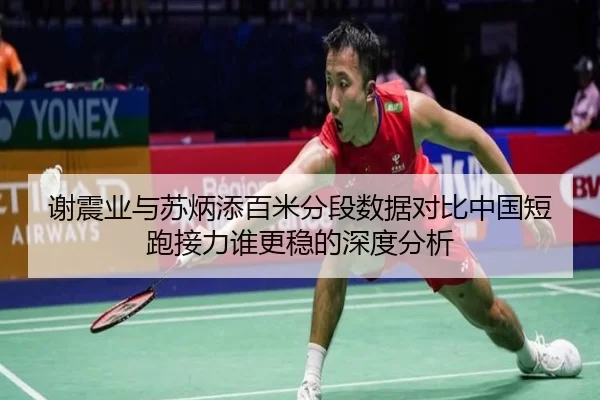 谢震业与苏炳添百米分段数据对比中国短跑接力谁更稳的深度分析